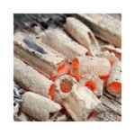 Briquette de bois PINI KAY – Palette de 960 Kg – Image 2