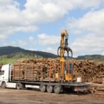 Hêtre en grume – Camion complet 50 stères